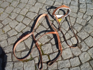 Hellbraunes Sperrhalfter Kavalkade COB- FULL Bild 5