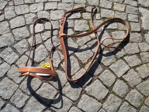 Hellbraunes Sperrhalfter Kavalkade COB- FULL Bild 2