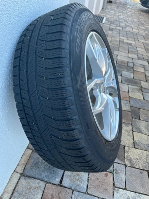 Winterreifen RIAL Bild 2