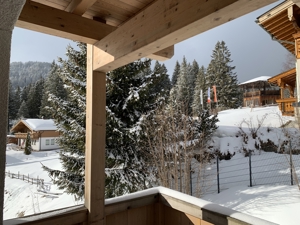 Ferienwohnung mitten im Skigebiet Kitzski bei Kitzbühel mit Sauna in atemberaubender Aussichtslage Bild 13