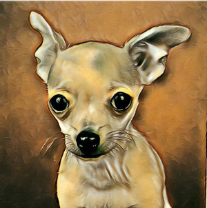 Hund Tier- Portrait vom eigenen Foto auf Leinwand Bild 3