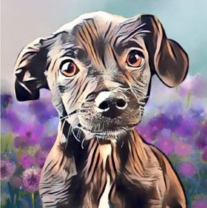 Hund Tier- Portrait vom eigenen Foto auf Leinwand Bild 2