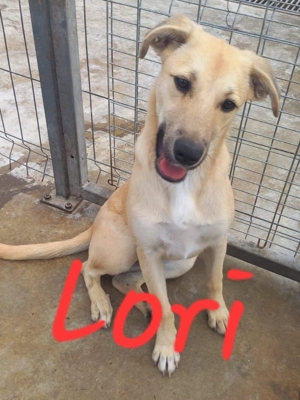 Lori wartet seit 3 Jahren