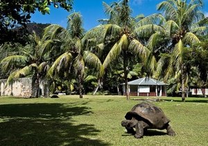 Mitsegeln Seychellen Bild 6
