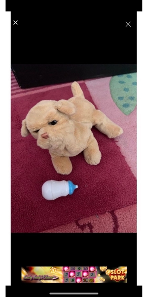 Furreal friends Welpe mit Flasche