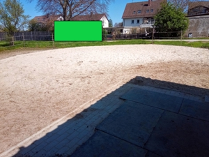 2 Ponystellplätze ab sofort in kleinem Offenstall frei, gerne stromsichere Shettys Bild 2