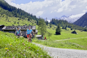 Ferienwohnung / Kitzbüheler Alpen / atemberaubende Lage / Pfingsten Bild 19
