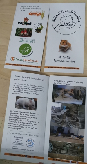 Info Flyer über Hamster Haltung.