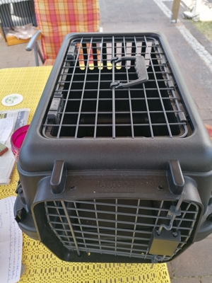 Hunde Katzentransportbox Bild 2