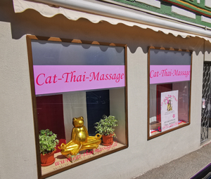 Cat Thai Massage in Überlingen am Bodensee - original Thai Massage ! Bild 11