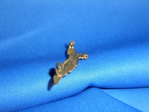 Luftwaffenadler Bild 12