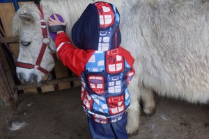 Reitbeteiligung Pony Kind Voltigieren Reiten