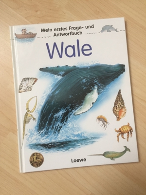 Mein erstes Frage- und Antwortbuch, Wale - Kindersachbuch