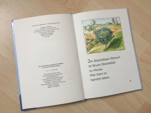 Bruno Stachelbär Kinderbuch Bild 2