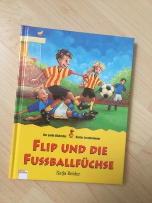 Flip und die Fußballfüchse - Kinderbuch Bild 1