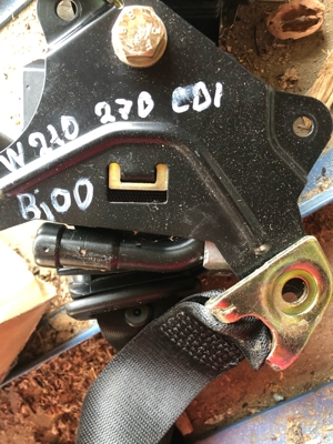 Sicherheitsgurt Bild 2