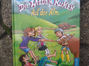 Geschenke Kinderbücher Die 3 !!! Buch diverse Bücher Jugendbuch Scgulbuch Bild 14