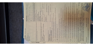 Griechische Landschildkröten Bild 5