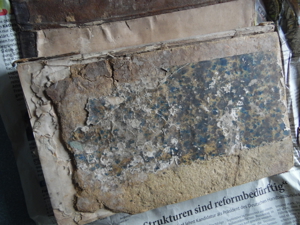 Antikes Buch. Die Schönheit der kath. Kirche 19. Jhd. Bild 3