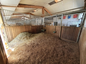 Paddockbox, Box mit dauerzugänglichem Paddock