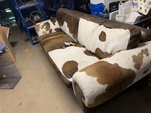 Sofa Couch Sitzgruppe Antilope Fell selten chic, für Kenner Bild 3