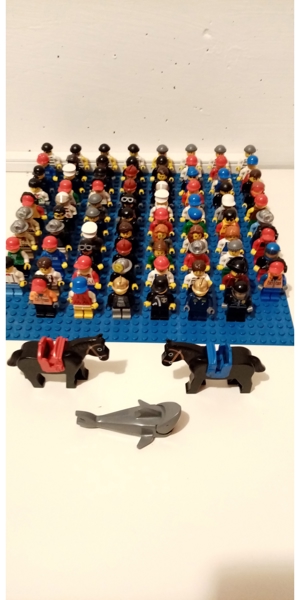 LEGO MINIFIGUREN, PFERDE, HAI Bild 4