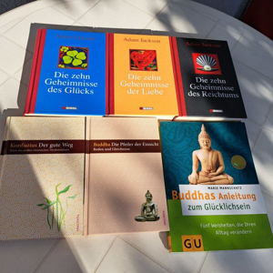 Romane, Philosopie- u. Reiki- Bücher Bild 2