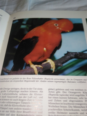 Neues Tierlexikon in Farbe Bild 9