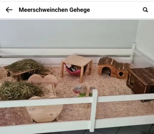 Meerschweinchengehege