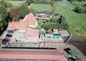 Offenstallplätze und Paddockboxen frei Bild 3