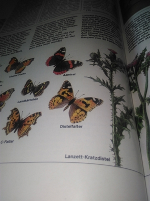 -Buch * Schützt unsere Schöne Natur Bild 9