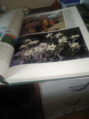 -Buch * Schützt unsere Schöne Natur Bild 2