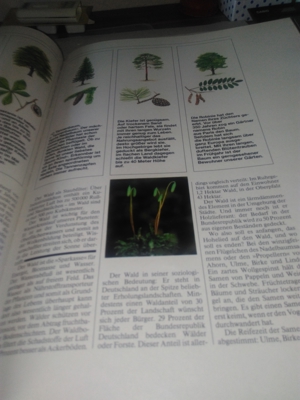 -Buch * Schützt unsere Schöne Natur Bild 4