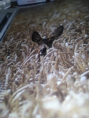 -Buch * Schützt unsere Schöne Natur Bild 6
