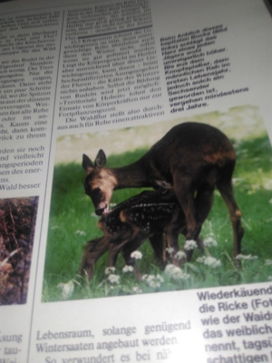 -Buch * Schützt unsere Schöne Natur Bild 7