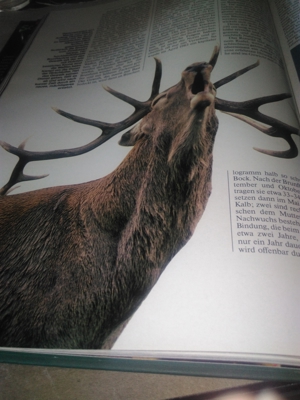 -Buch * Schützt unsere Schöne Natur Bild 5