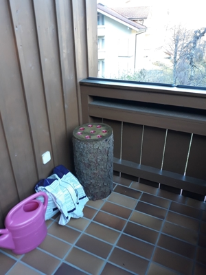 Teelichte Baumstamm Bild 4