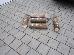 Massivholz Teelichthalter Bild 6