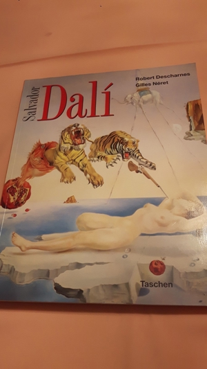 Kunstbuch Salvatore Dali 1992 Bild 1