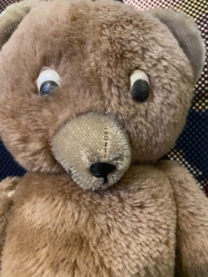 Für Sammler: Plüsch-Teddy ca. 1970, Arme, Beine u. Kopf beweglich