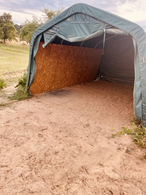 Kl. Offenstall hat Platz für lieben Pony- oder Kleinpferd Wallach, unbeschlagen Bild 12