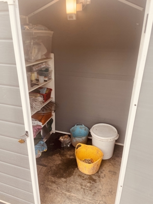 Kl. Offenstall hat Platz für lieben Pony- oder Kleinpferd Wallach, unbeschlagen Bild 9