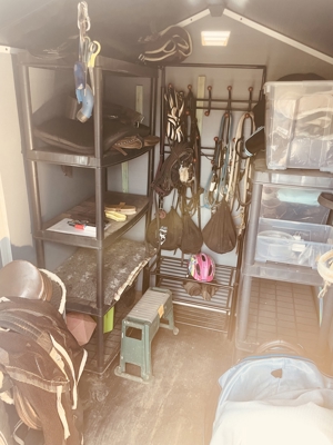 Kl. Offenstall hat Platz für lieben Pony- oder Kleinpferd Wallach, unbeschlagen Bild 11