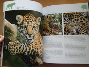 Großbildband "Tierkinder im Zoo", von Prof. Dr. Henning Wiesner, BLV Bild 11