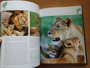 "Tierkinder im Zoo", ein Großbildband, von Prof. Dr. Henning Wiesner, BLV Bild 10