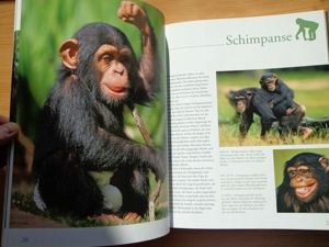 "Tierkinder im Zoo", ein Großbildband, von Prof. Dr. Henning Wiesner, BLV Bild 5
