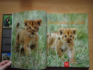 "Tierkinder im Zoo", ein Großbildband, von Prof. Dr. Henning Wiesner, BLV Bild 4
