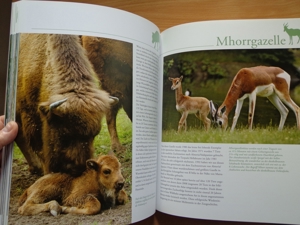 Großbildband "Tierkinder im Zoo", von Prof. Dr. Henning Wiesner, BLV Bild 16