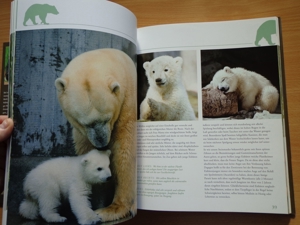 "Tierkinder im Zoo", ein Großbildband, von Prof. Dr. Henning Wiesner, BLV Bild 8