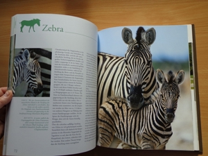 "Tierkinder im Zoo", ein Großbildband, von Prof. Dr. Henning Wiesner, BLV Bild 14